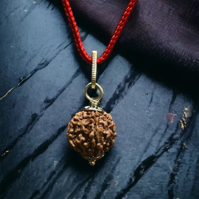 2 Mukhi Indian Rudraksha - Do Mukhi